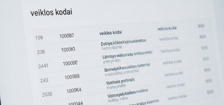 Veiklos Kodai (EVRK): Išsamus Gidas Jūsų Verslui ir Individualiai Veiklai Lietuvoje
