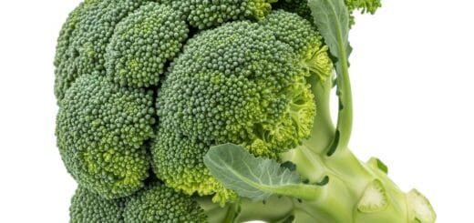 Brokoliai: Nuo Sėklos Iki Stalo – Išsamus Gidas Apie Auginimą, Naudą ir Skaniausius Receptus