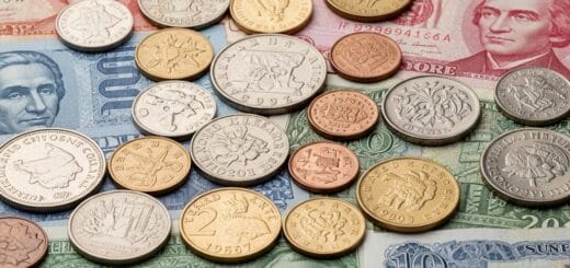 Echinokaktusas: Auksinis Spyglių Kamuolys Jūsų Namuose