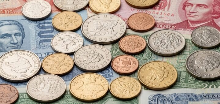 Echinokaktusas: Auksinis Spyglių Kamuolys Jūsų Namuose