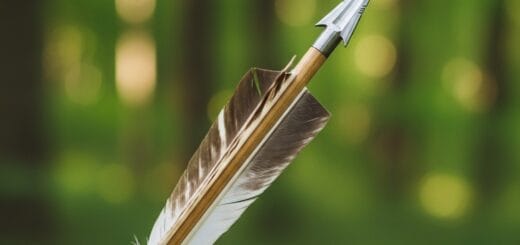 Singonis (Rodyklė): Viskas, Ką Reikia Žinoti Apie Šį Nuostabų Kambarinį Augalą