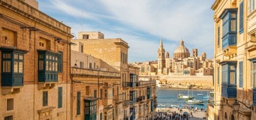 Svajonių veja: išsamus gidas nuo įrengimo iki tobulos priežiūros