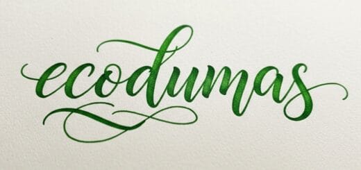 Ecodumas: Išsamus Gidas Į Elektronines Cigaretes ir Veipinimą Lietuvoje