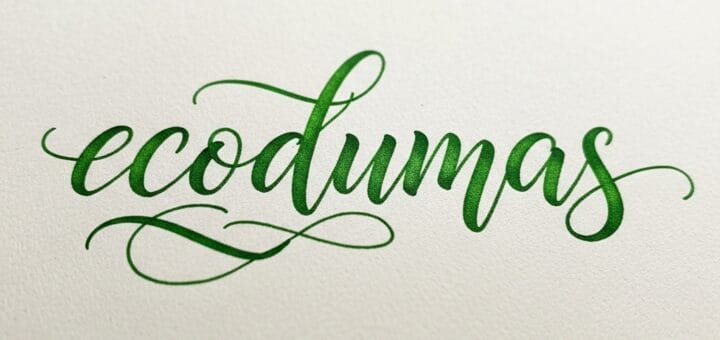 Ecodumas: Išsamus Gidas Į Elektronines Cigaretes ir Veipinimą Lietuvoje