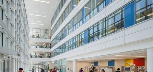 Universitetinė Ligoninė: Mokslo, Gydymo ir Vilties Citadelė