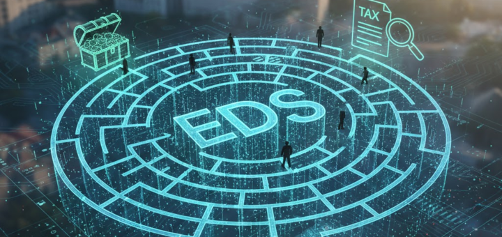 EDS Labirintai: Kaip Ne Tik Deklaruoti Pajamas, Bet ir Maksimaliai Pasinaudoti VMI Sistema Savo Naudai