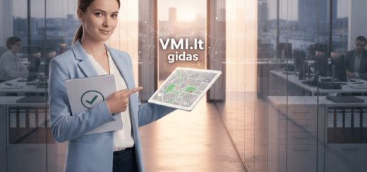VMI.lt gidas: kaip nepasiklysti mokesčių labirintuose ir susigrąžinti pinigus